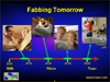 Fabbers Archive: Fabbing Tomorrow